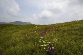 山上花园