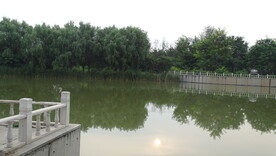 公园河边
