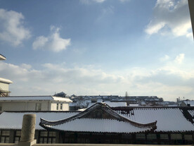 白雪皑皑