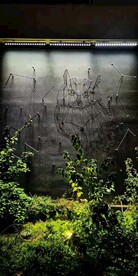 重庆熠夜酒吧洗墙