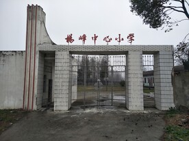 杨林尾杨峰学校  杨林尾中学 