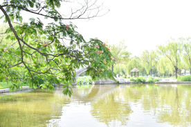 公园池塘