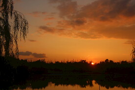 夕阳落