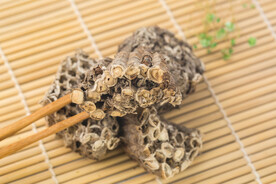 中药材 蜂房