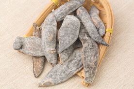 中药材 水蛭