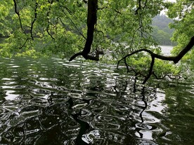 湖边倒影