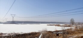 冬雪