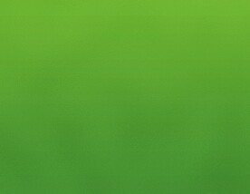 浅绿色背景