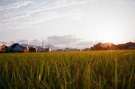 山间风景