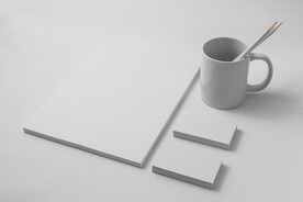 高端vi样机合集