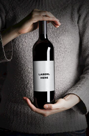 红酒香槟包装样机