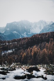 森林雪山