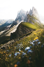 美丽风景自然风光 