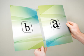 手持三折页样机