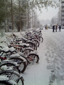 雪后的校园