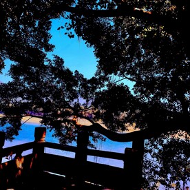 梦幻背景图