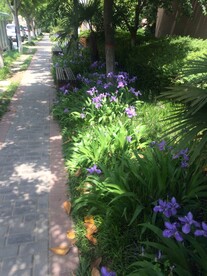 路边