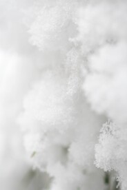 雪