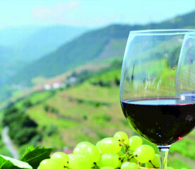 葡萄酒