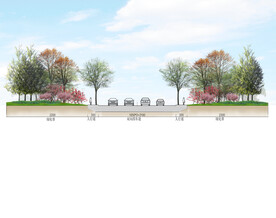 景观绿化园林植物剖立面