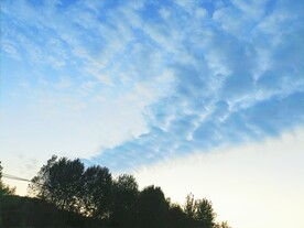 树林吐气