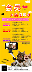 宠物展架