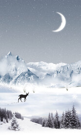 雪景装饰画