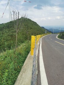 林中小路