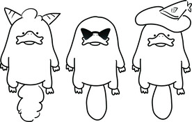 三只鸭嘴兽