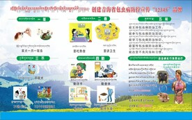 包虫病防治12345藏文加汉文