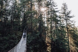 风景