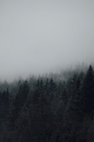 山