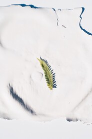 背景纹理