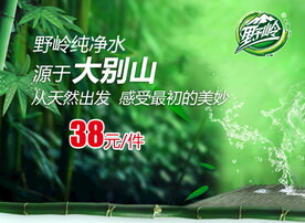 野岭纯净水
