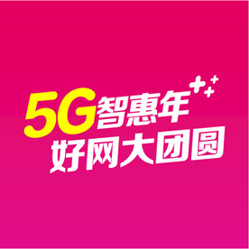 5G智慧年