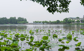 湖北武汉东湖 