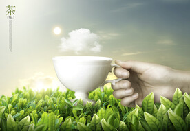 泡茶