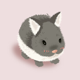 兔子