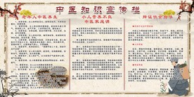 中医知识宣传栏展板
