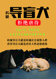 导盲犬    关爱动物    