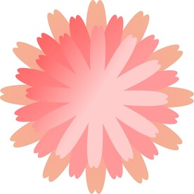 美丽的花朵