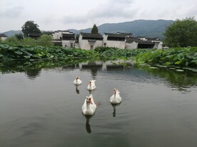 呈坎古镇