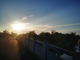 美丽利辛