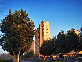 美丽利辛