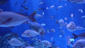 海洋馆 