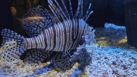 海洋馆 