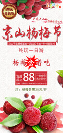 京山杨梅