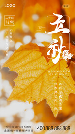 立秋海报