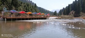 松鸣岩风景区