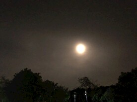 自然景色